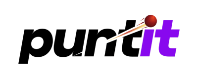 Puntit Casino logo