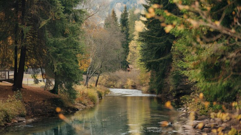 50 Ecosystem Services Examples: Complete Guide 2025