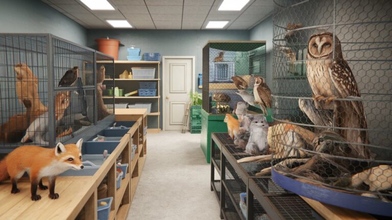 Wildlife Rehabilitation Near Me: Find Local Experts in 2025